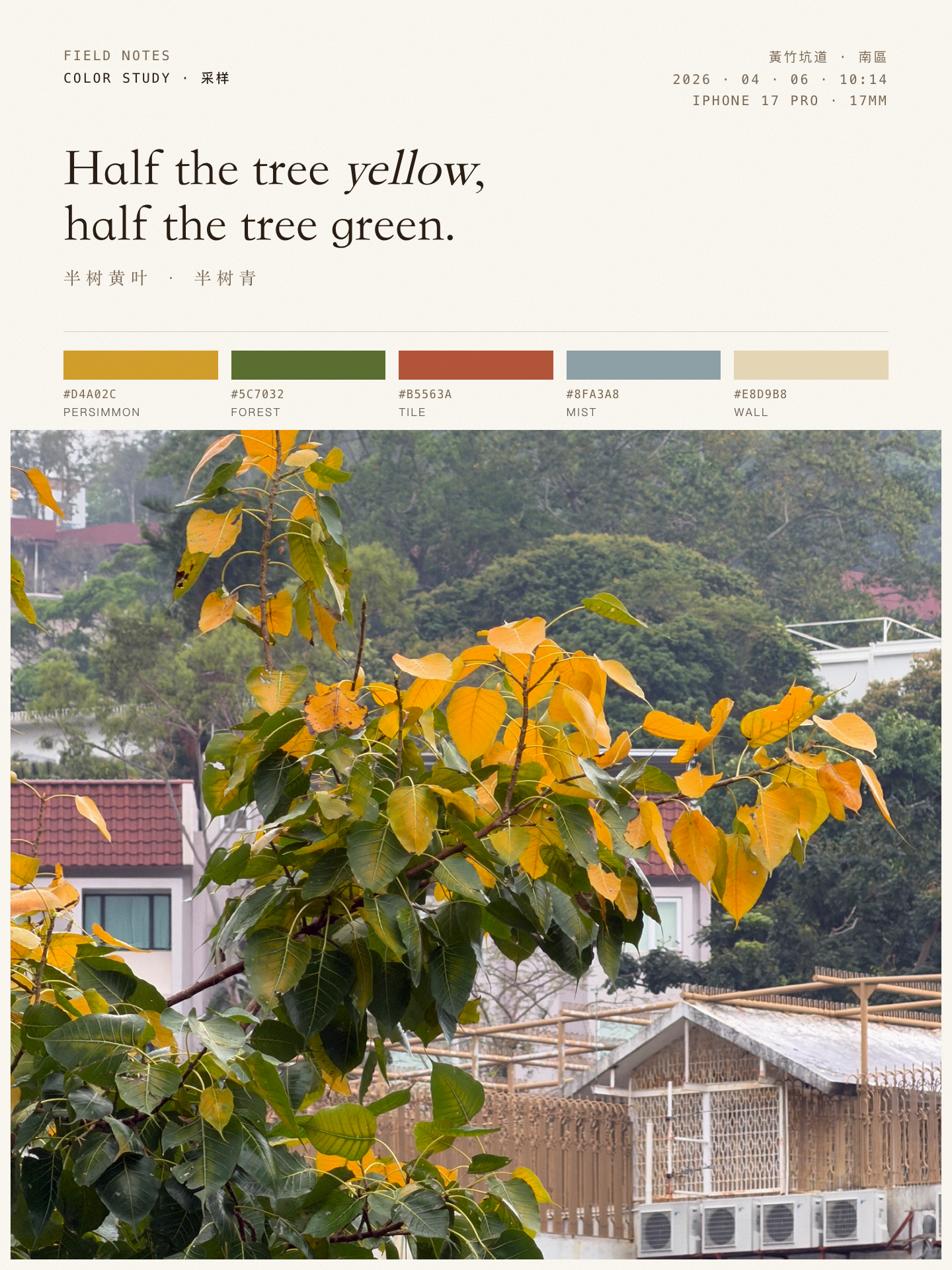 Half the tree yellow, half the tree green