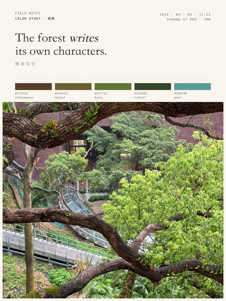The forest writes its own characters