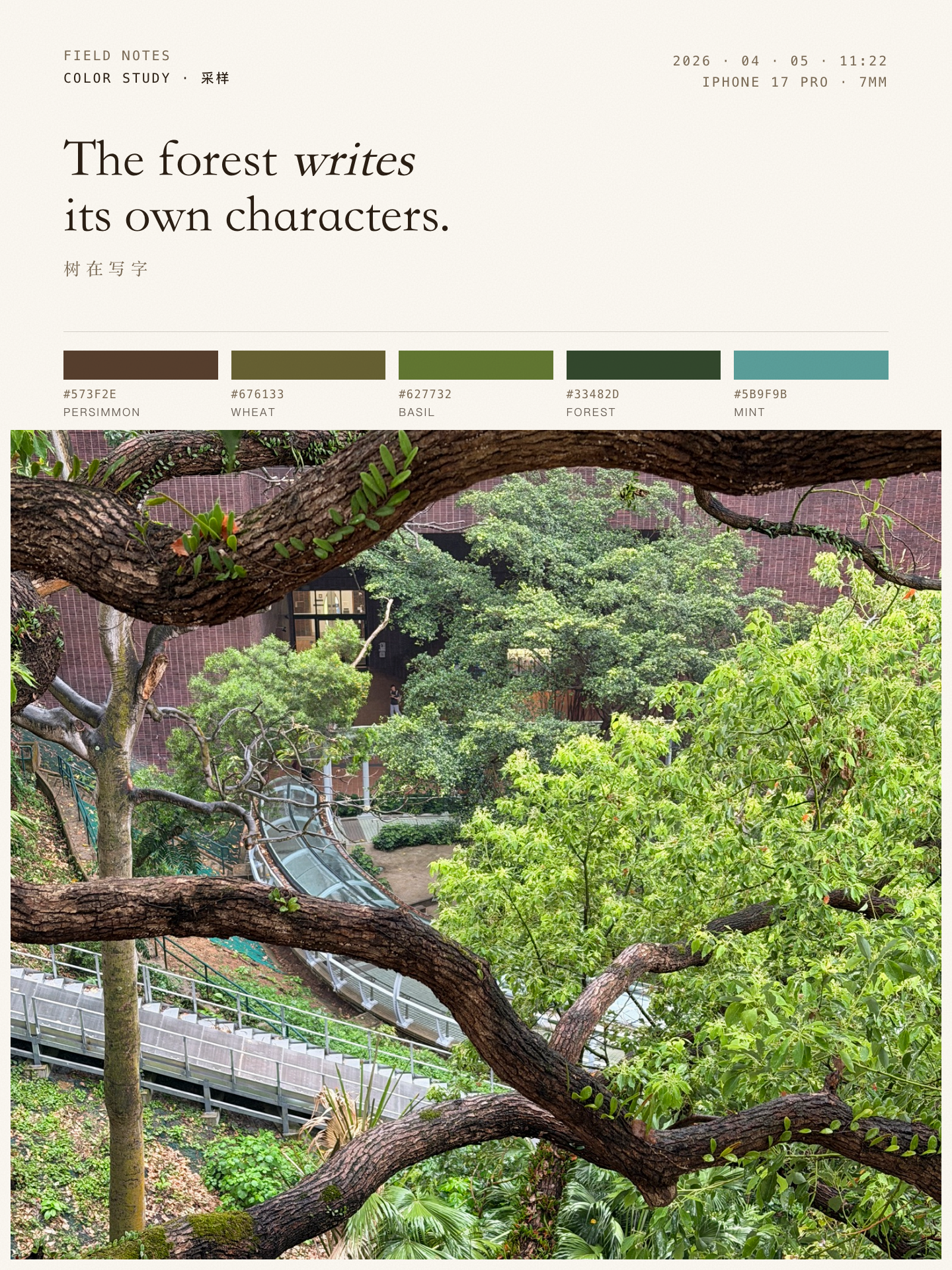 The forest writes its own characters