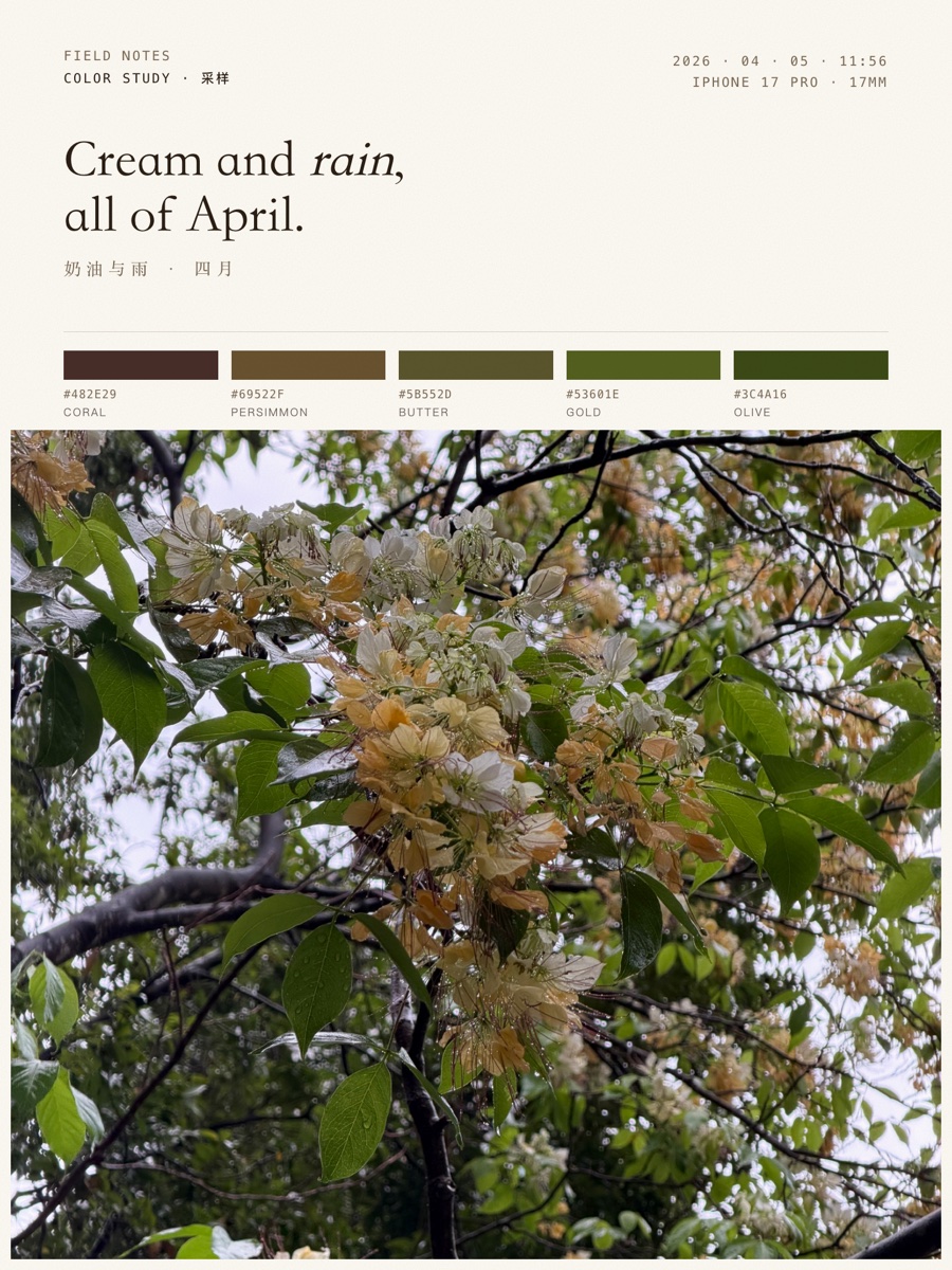 Field Notes 005