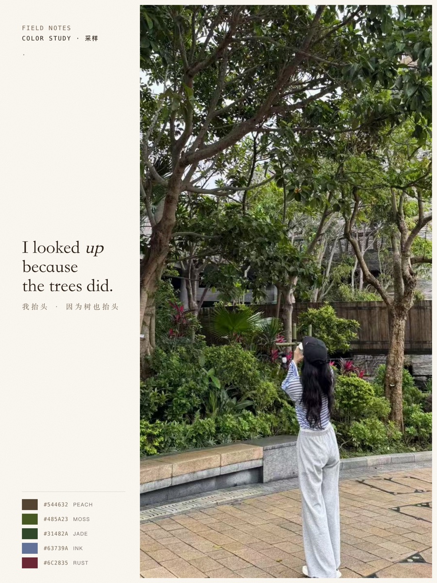 Field Notes 019